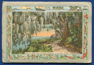 Scenic Florida 1910s railroads St Johns River night orange grove postcard folder