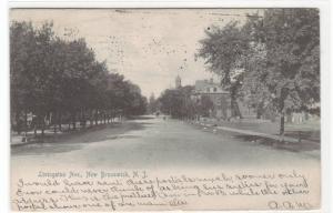 Livingston Avenue New Brunswick New Jersey 1905 postcard