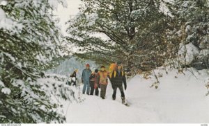 Canada, SNOWY OUTDOOR CENTRE , SKIING AND HIKING, Forest Environment, 50-60s