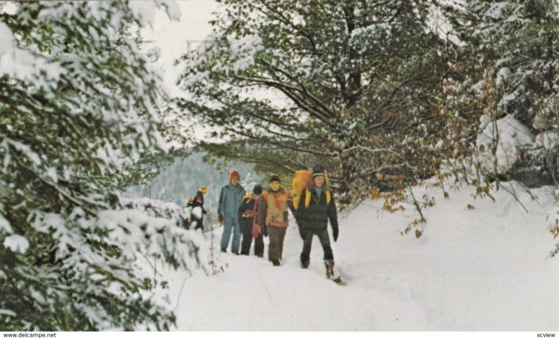 Canada, SNOWY OUTDOOR CENTRE , SKIING AND HIKING, Forest Environment, 50-60s