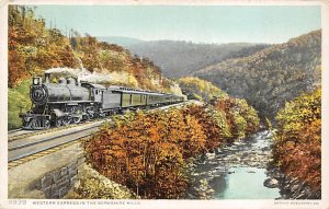 Western Express in the Berkshire Hills Massachusetts Train Unused 