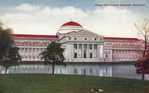 Vintage Postcard Field Columbian Museum Historical Building Chicago Illinois IL