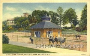 Camels, Park Mansion, Druid Hill Park - Baltimore, Maryland MD Postcard