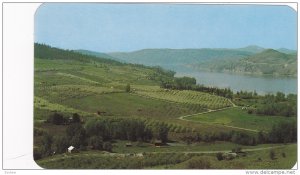 Blossom Time Along The Shores Of Lake Kalamalka, Okanagan-Cariboo Hwy, Britis...