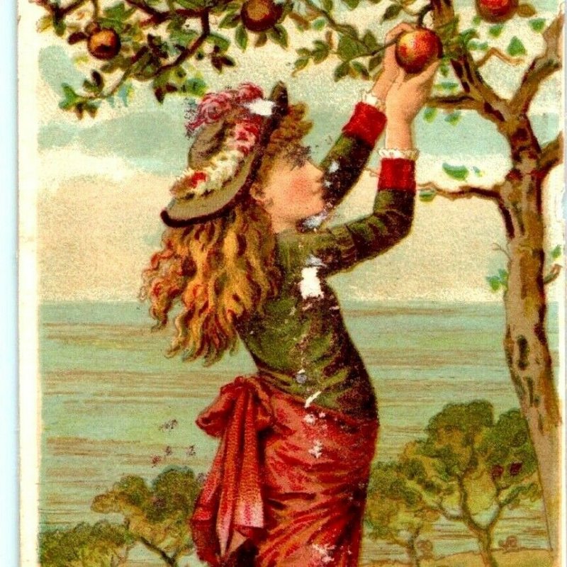 x2 SET c1880s Troy, New York C.A Anthony Coffee Trade Card Cute Young Girls C16