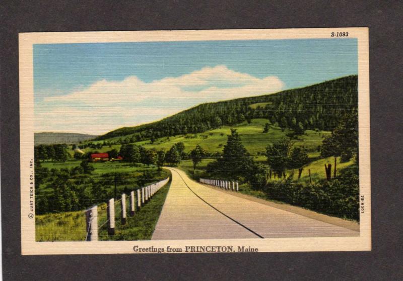 ME Greetings From Princeton MaIne Linen Postcard