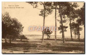 Gascony Landes Old Postcard On the banks of the Great Lakes