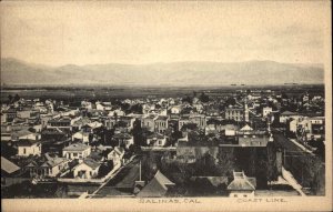 Salinas California CA Bird's Eye View c1910 Vintage Postcard