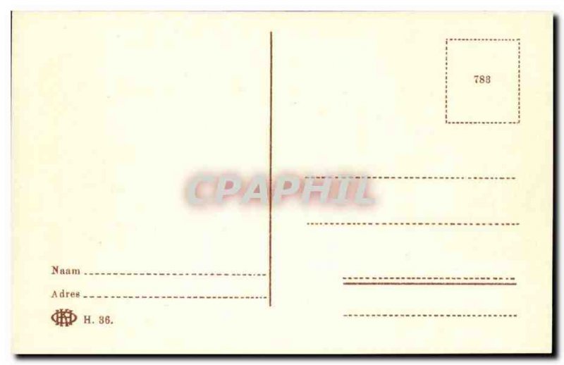 Netherlands Old Postcard Gravenhage plants