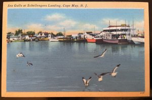 Vintage Postcard 1930-1945 Schellenger's Landing, Cape May, New Jersey