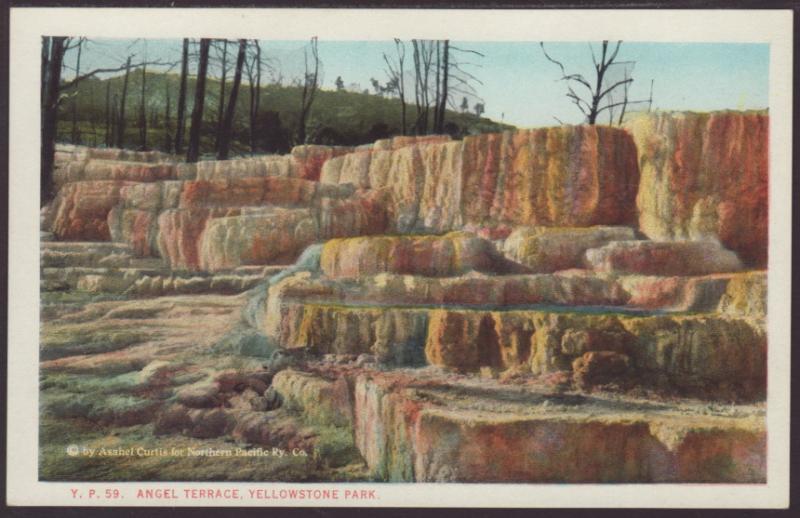 Angel Terrace,Yellowstone Postcard