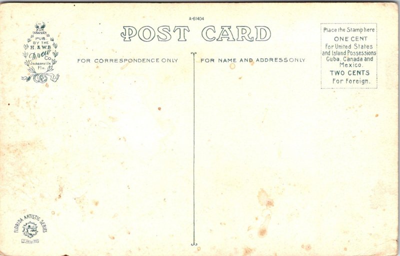 Antique Postcard Divided Winter Florida Jacksonville