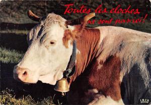 BT9265 toutes les cloches ne sont pas ici vow vache france   animal animaux