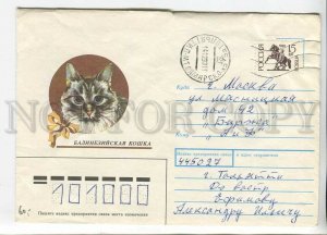 447823 RUSSIA 1990 year Usova balinese cat 1993 real posted COVER