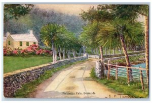 c1950's Trees Road Houses Palmetto Vale Bermuda Vintage Posted Postcard 