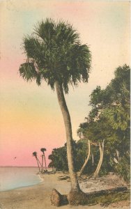 Postcard Florida St, Petersburg Boca Ceiga Bay Shore hand colored 23-11237