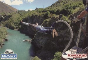 Death Defying Bungy Jump At Kawarau Bridge New Zealand Postcard