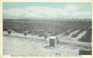 c1920 Postcard; 200 Acre Vineyard Oak Park Ranch near Arbuckle CA Colusa County