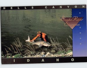 M-213553 Hells Canyon  Snake River Sturgeon Idaho USA