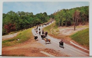 Horseback Riding Trail in Southern Illinois c1962 Postcard D6