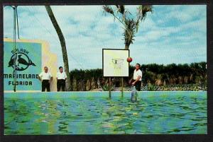 Porpoise Plays Basketball Marineland FL Post Card  5443