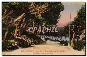 Old Postcard Menton Sous Bois Promenade Cap Martin