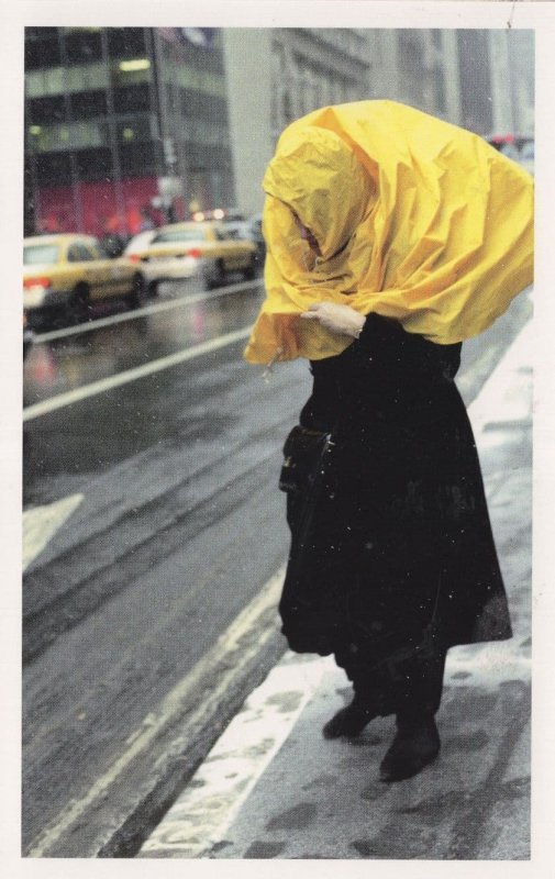 New York Disaster Wind Weather Yellow Raincoat USA Award Postcard