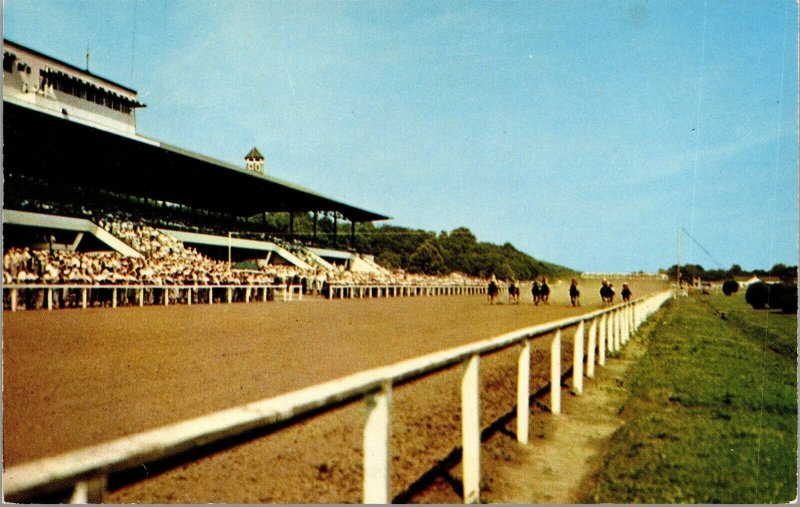 Vtg Cincinnati OH River Down Race Track Down the Stretch Horse Racings Postcard 