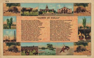 USA Down In Texas Linen Vintage Postcard 07.57