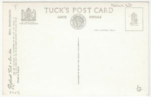 Somerset The Dring Wrington WT19 RP PPC By Tuck Unposted