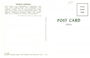 Dog , German Shepherd