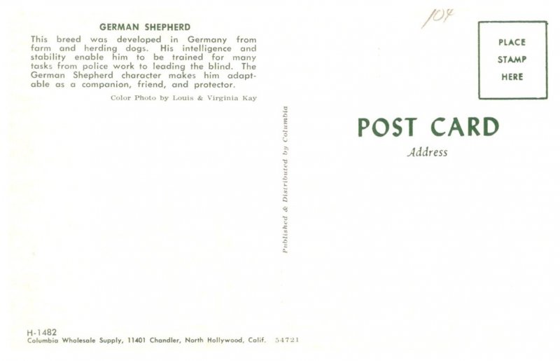 Dog , German Shepherd