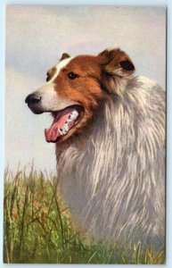 Dog Postcard COLLIE Stehli #158 Postcard