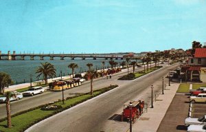 Postcard Beautiful Sightseeing Matanzas Bay Front Bridge Lions St. Augustine FL