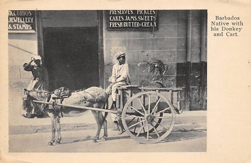 Native with his Donkey and Cart Barbados West Indies Unused 