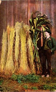 Washington Locally Grown Wheat and Corn 1909