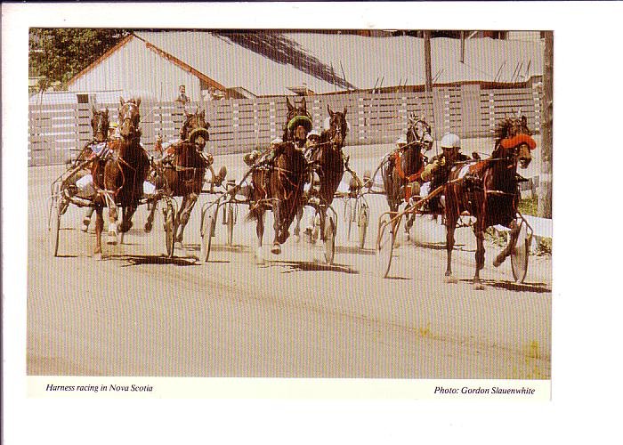 Horses Harness Racing, Nova Scotia