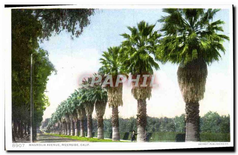 Postcard Old Magnolia Avenue Riverside Calif