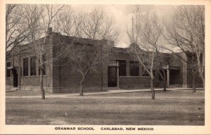 New Mexico Carlsbad Grammar School Albertype