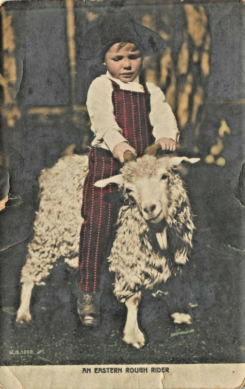EASTERN ROUGH RIDER~CUTE YOUNG BOY RIDING WOOLY SHEEP~1908 PHOTO POSTCARD