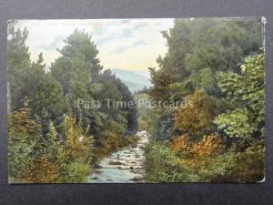 The River near Llanfairfechan Railway Station c1913 by W.A.& S.S