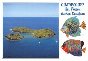 BT10609 Guadeloupe basse terre ilet pigeon        France