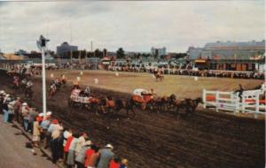 Canada Calgary Stampede Chuckwagon Races Calgary Alberta