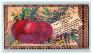 Lot Of 2 1870's-80's Thurber & Co. Baldwin Tomatoes & Hominy Bird Seed P195