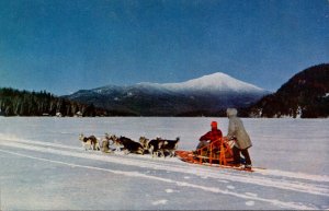 New York Lake Placid Dog Team With Whiteface Mountain In Background