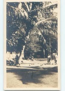 c1910 blank back rppc postcard RIDDLE ON BACK - FIND THE MAN IN THE TREE HM0519