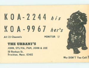 Dog - Qsl Ham Radio Card Brockton Massachusetts MA t1550