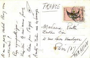 PC CPA MOZAMBIQUE, LOURENCO MARQUES, BOTANIC GARDEN, Vintage Postcard (b24900)