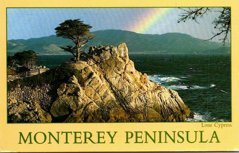 California Pebble Beach The Lone Cypress On 17 Mile Drive 1997