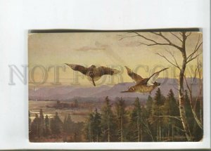 473033 MULLER Mueller HUNT Woodcock Vintage postcard #844